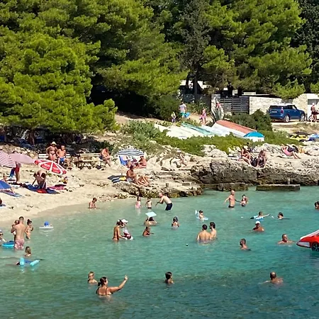 Domora Τρογκίρ